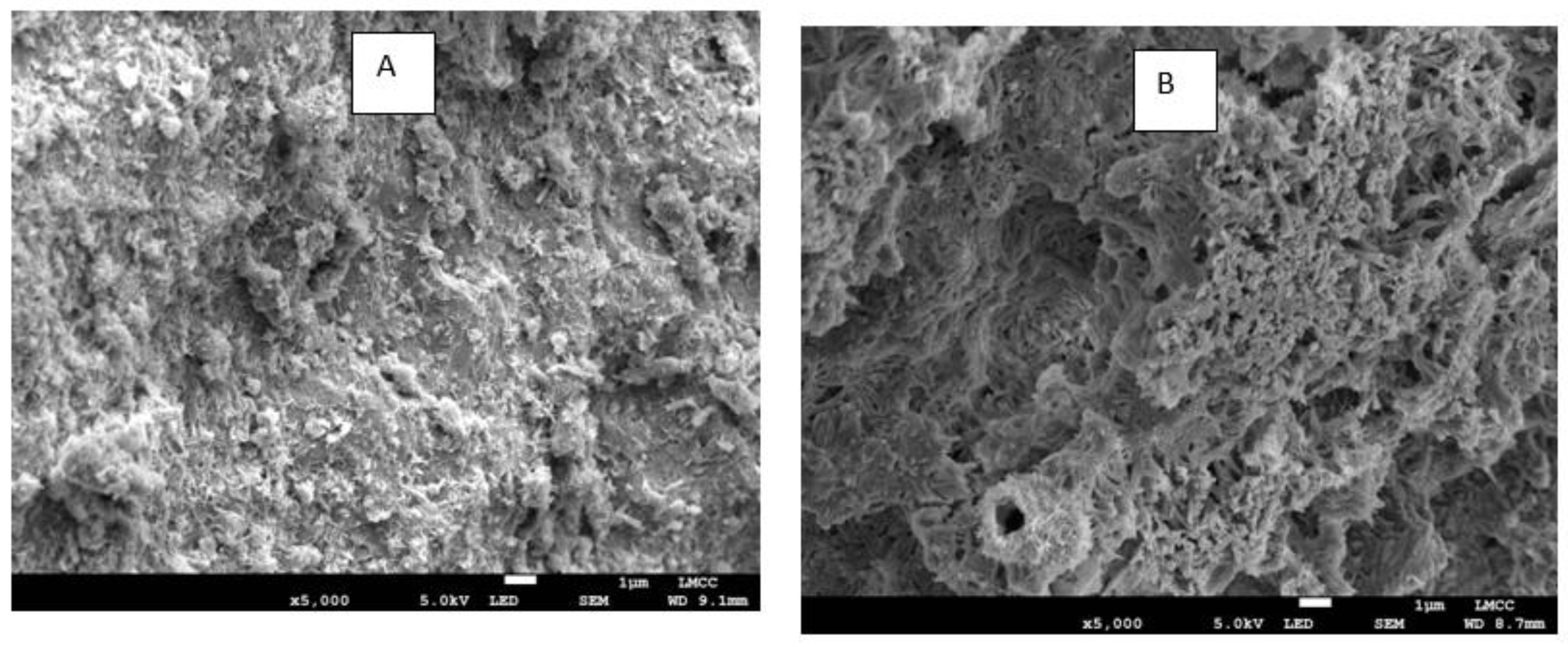 Cleantechnol 03 00034 g016