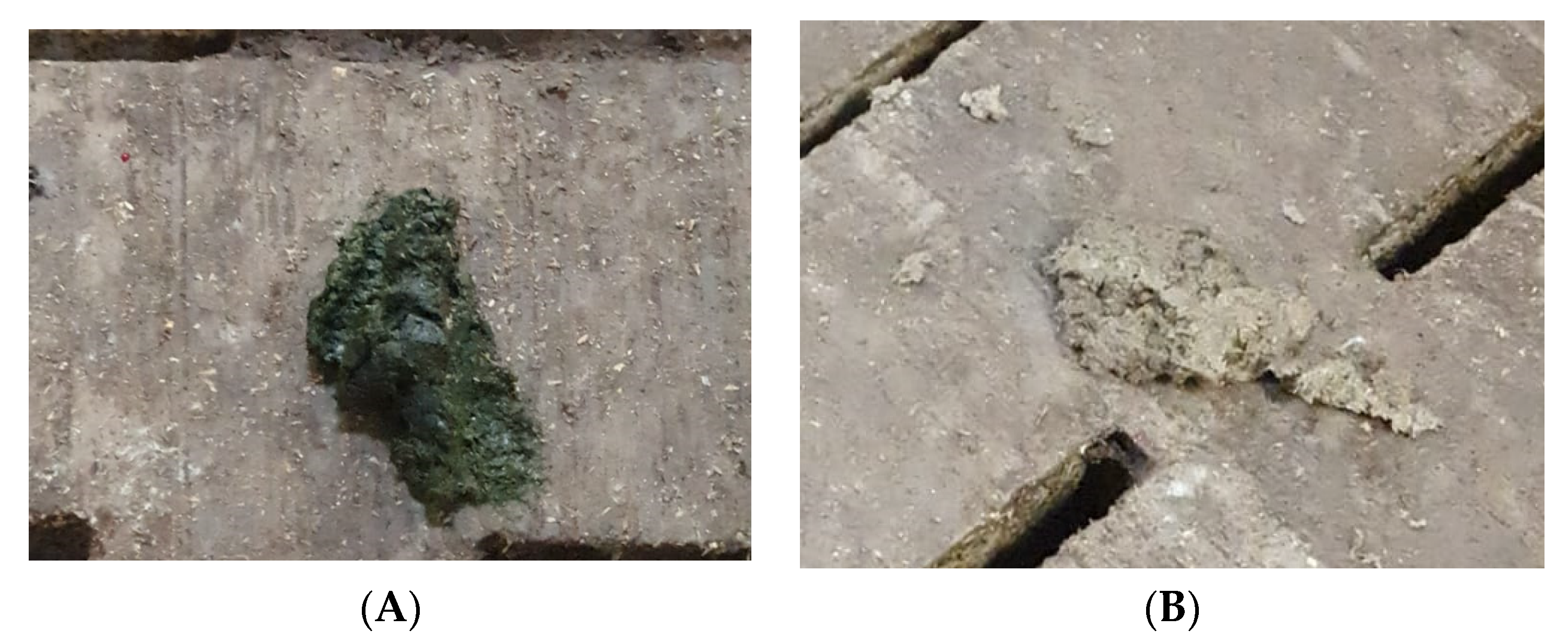 Cleantechnol 03 00039 g002