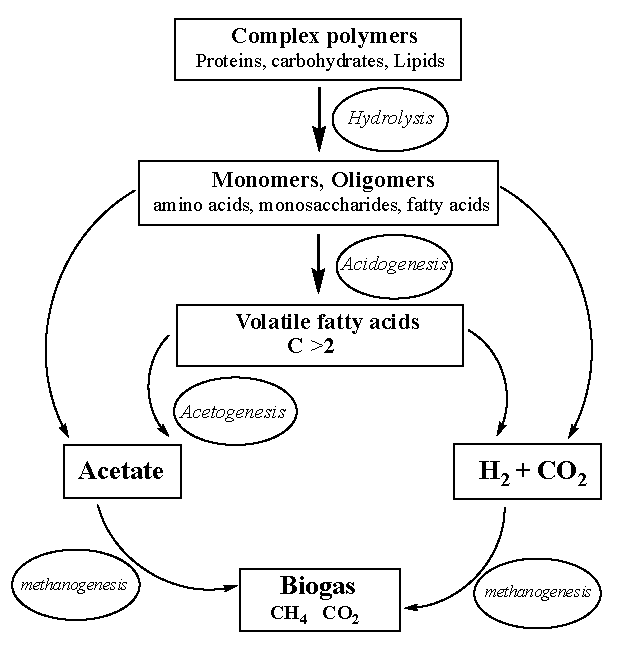 Cleantechnol 03 00043 g004