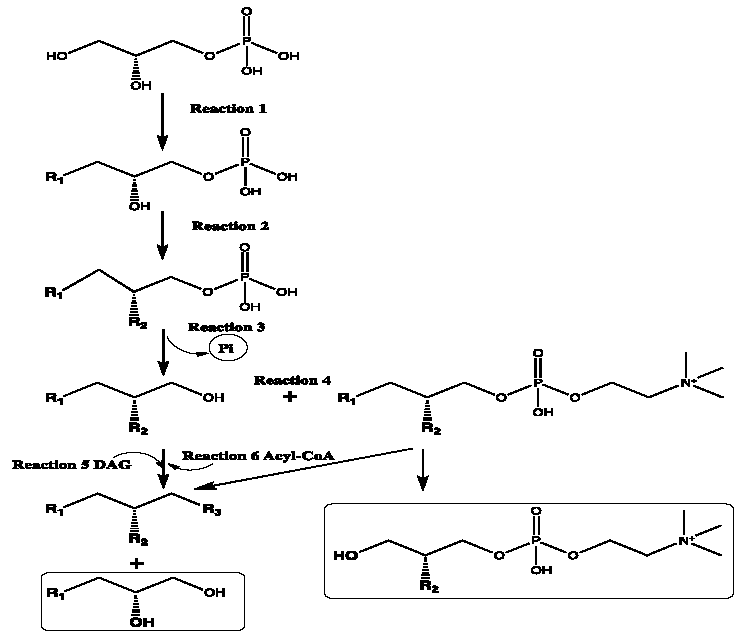 Cleantechnol 03 00043 g009