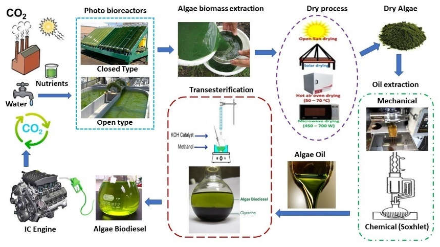 Cleantechnol 03 00043 g010
