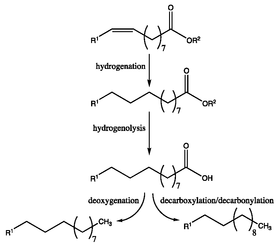 Cleantechnol 03 00043 g011