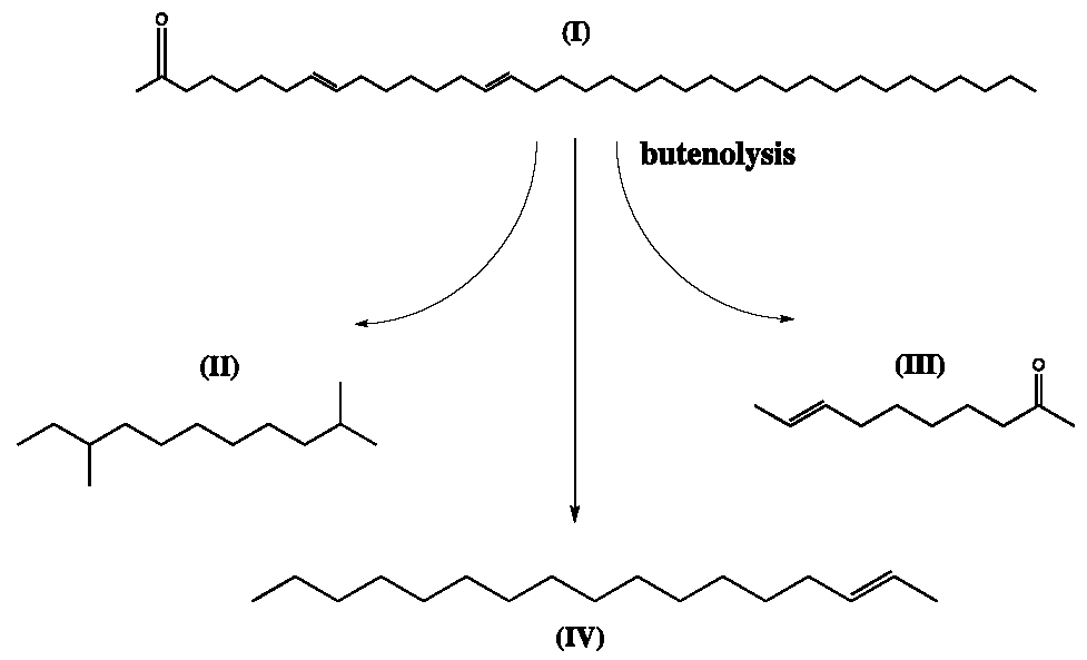 Cleantechnol 03 00043 g013