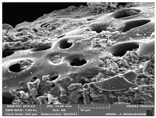 Cleantechnol 05 00019 i011 Cleantechnol 05 00019 i011