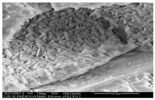 Cleantechnol 05 00019 i013 Cleantechnol 05 00019 i013