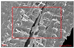 Cleantechnol 05 00019 i015 Cleantechnol 05 00019 i015