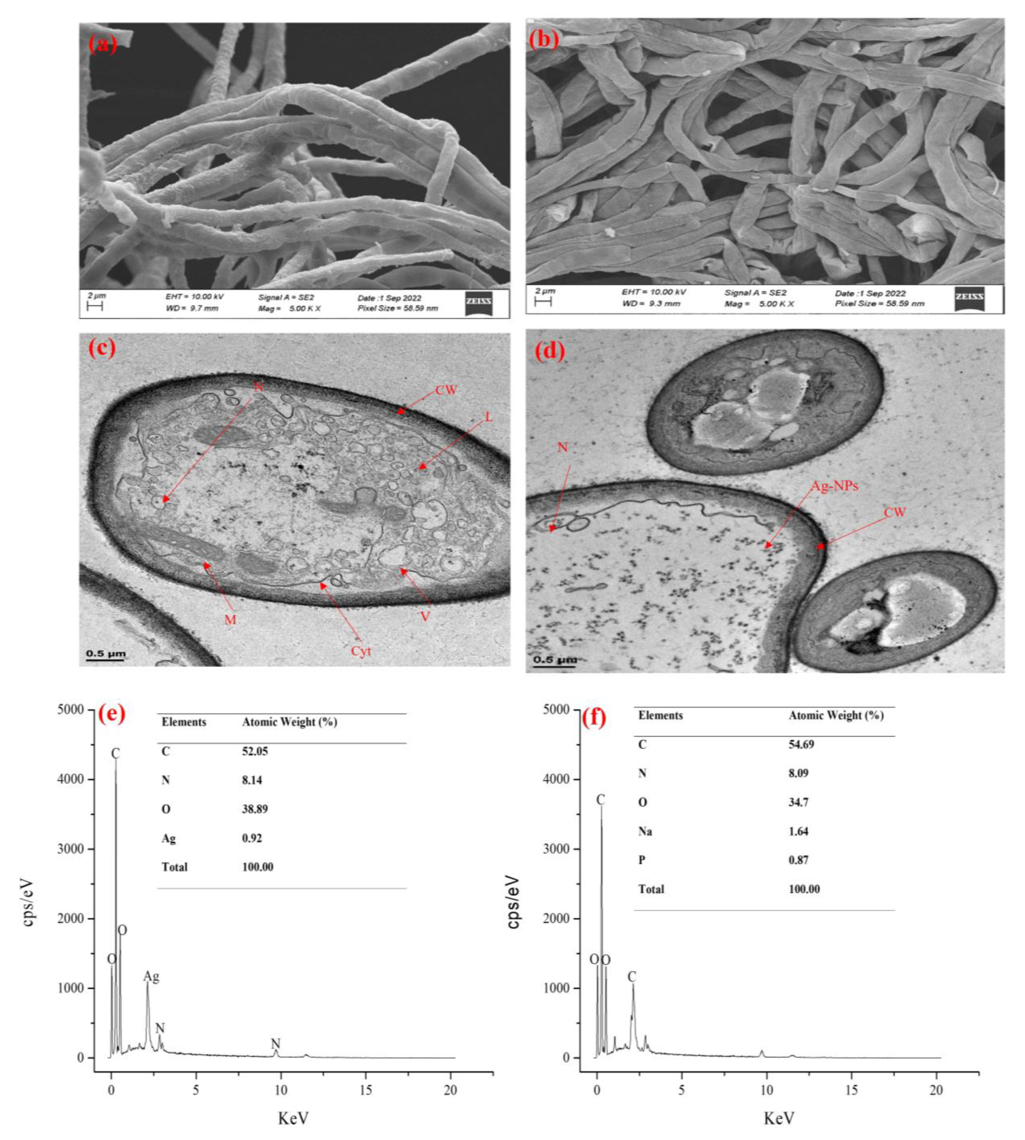 Cleantechnol 05 00068 g005