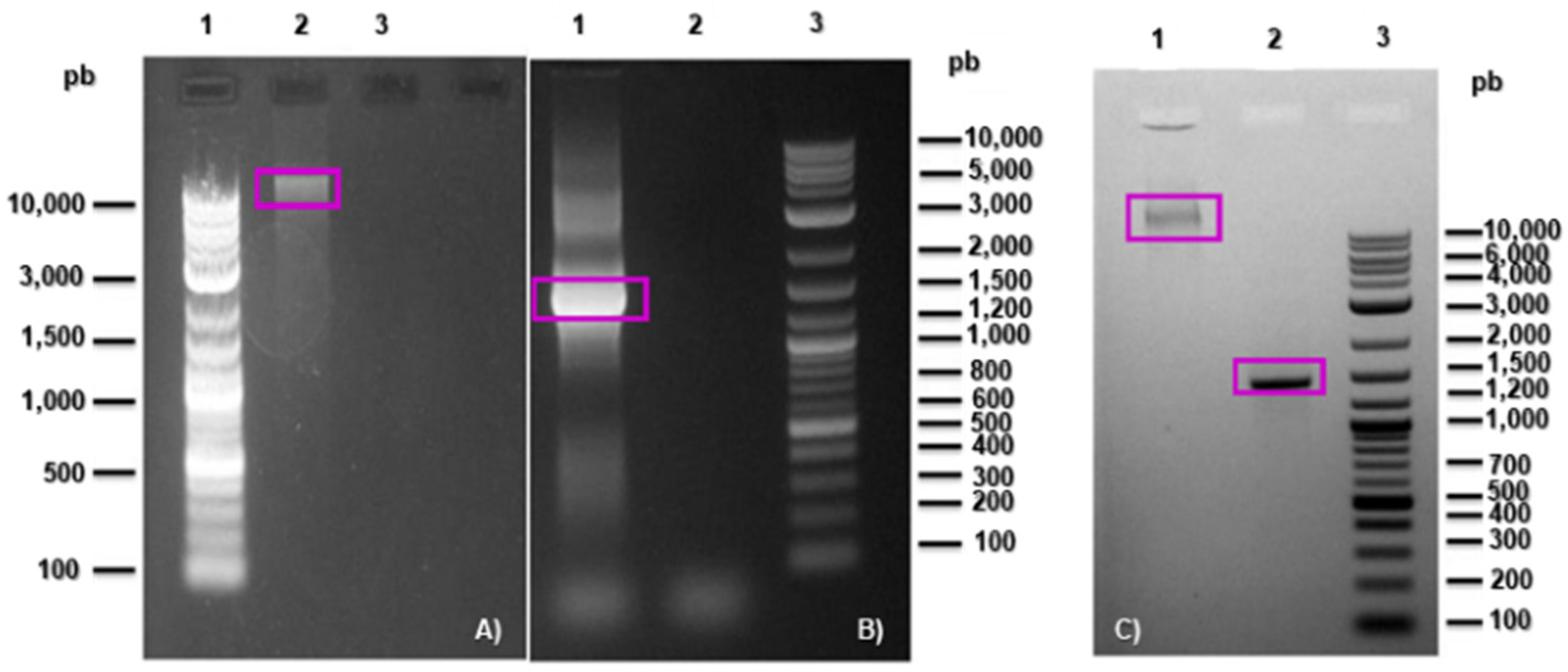 Cleantechnol 06 00005 g002