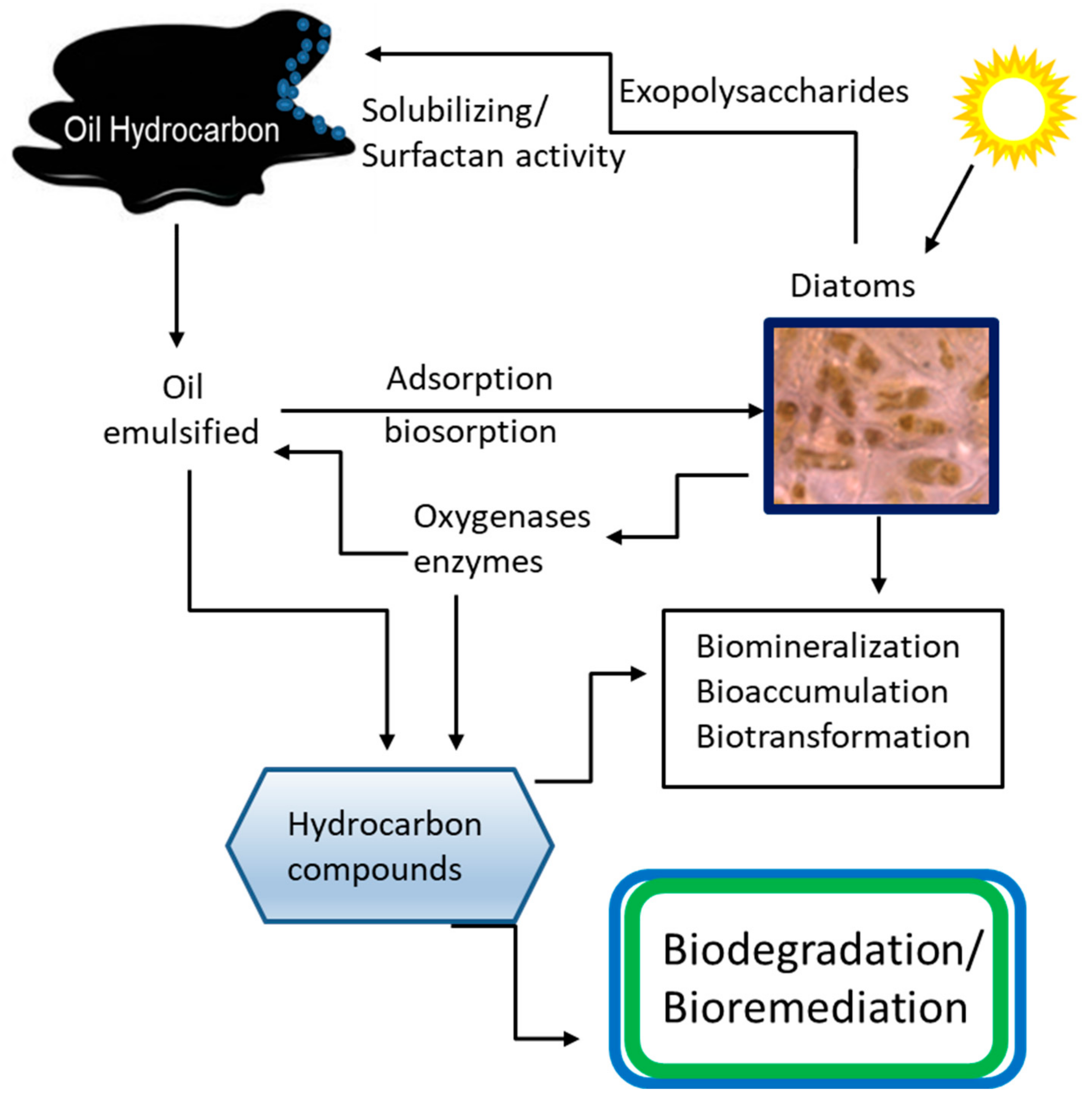 Cleantechnol 06 00007 g002