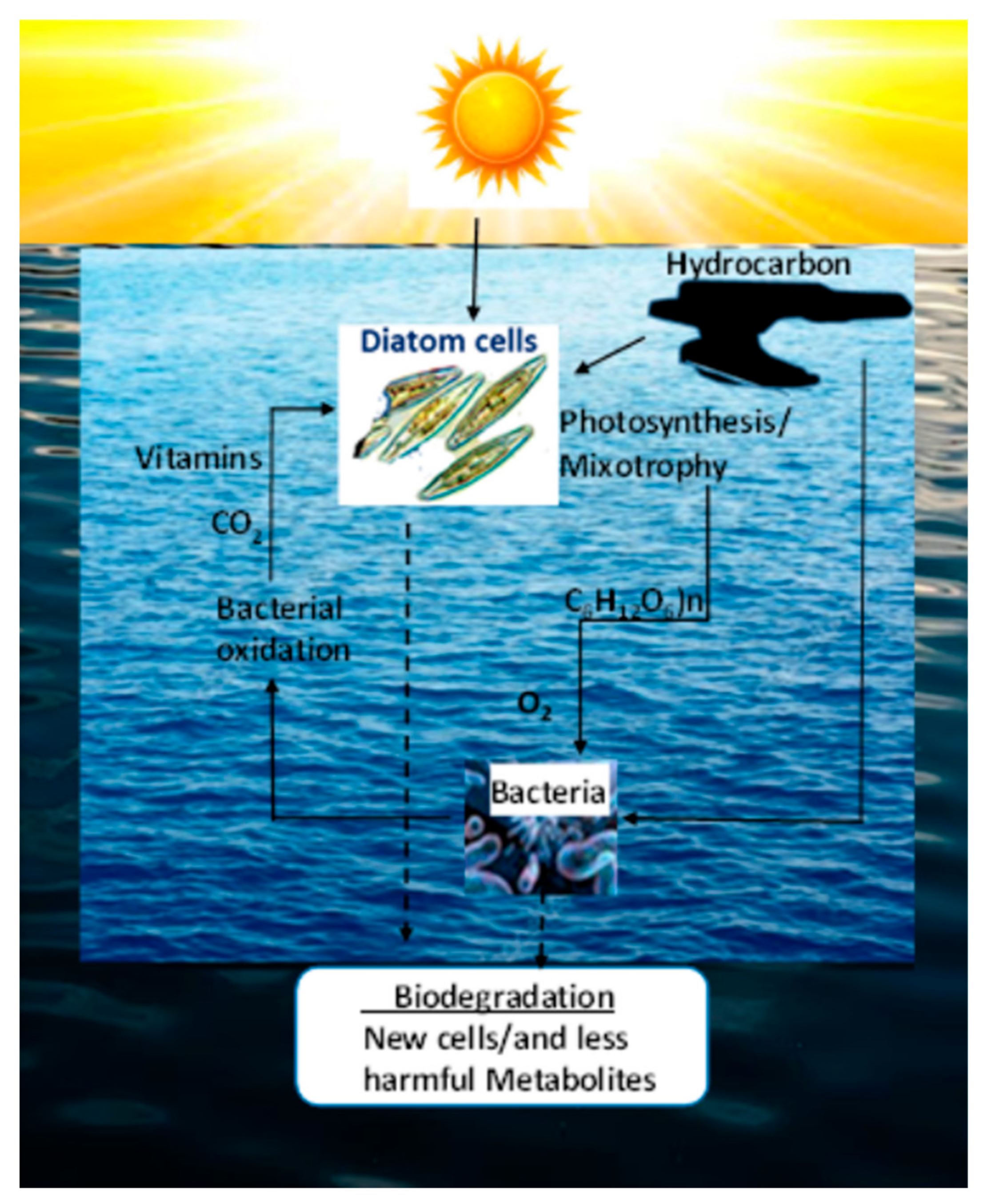 Cleantechnol 06 00007 g003