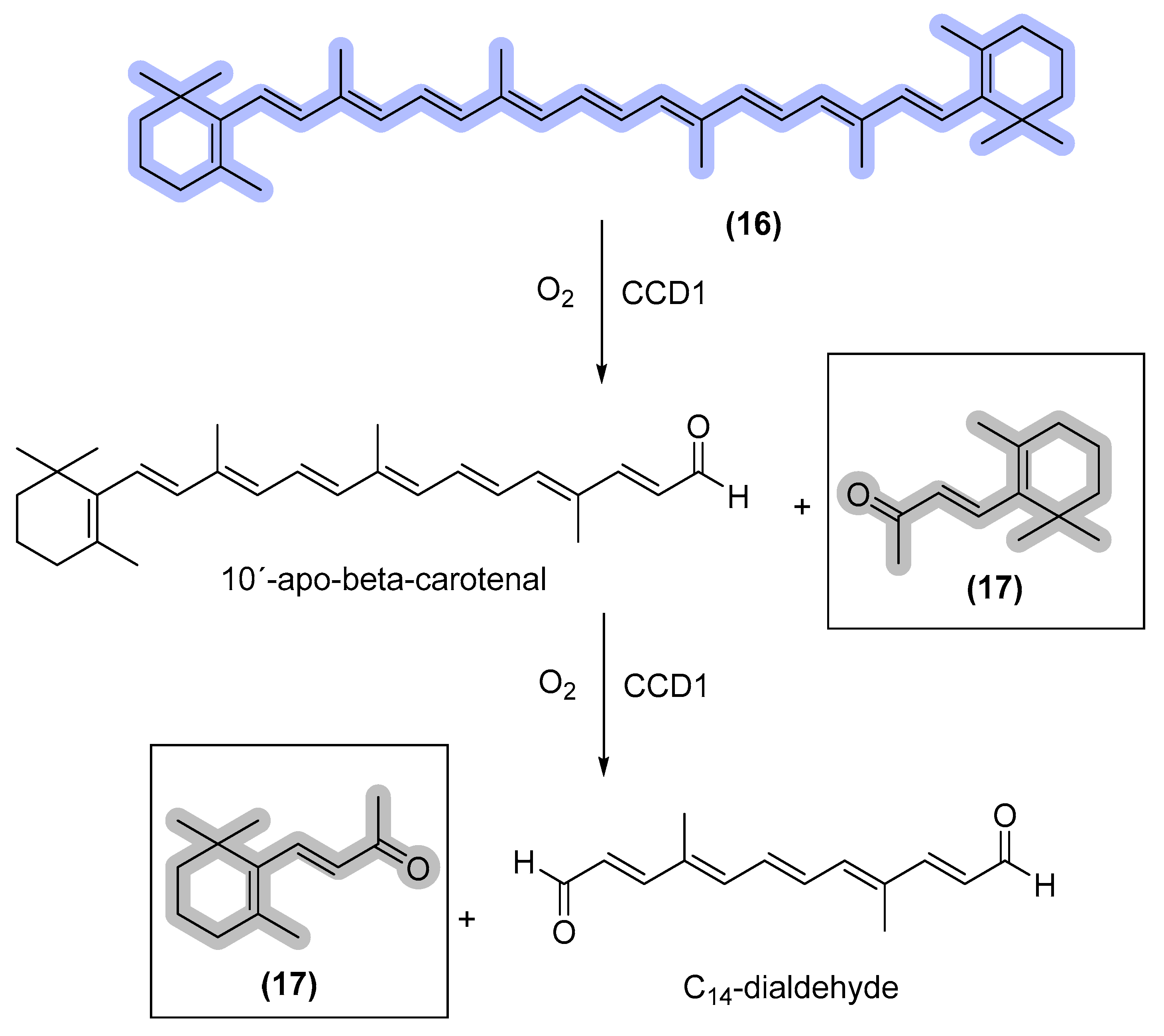 Cleantechnol 06 00011 g007