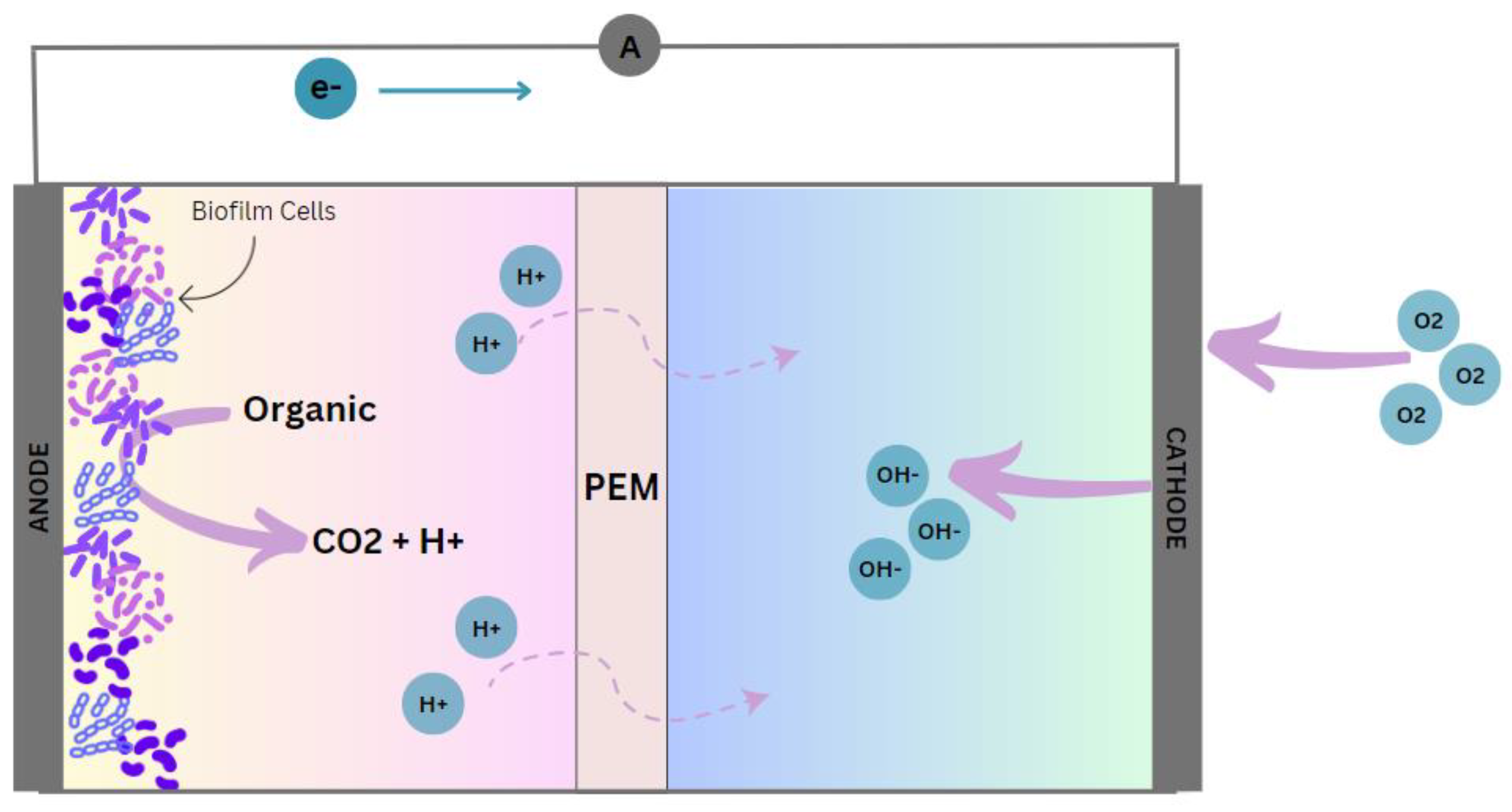 Cleantechnol 06 00026 g001