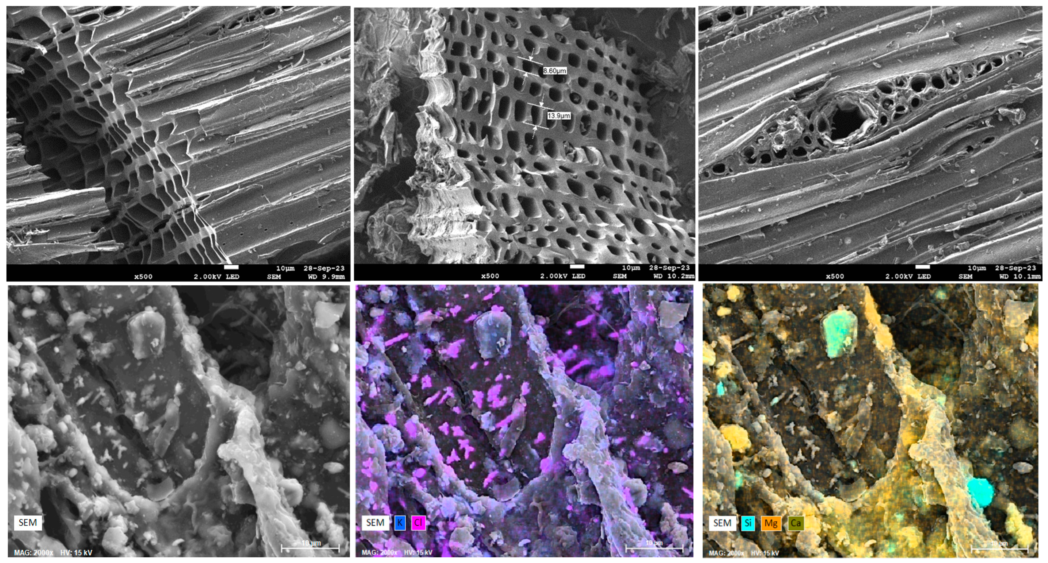 Cleantechnol 06 00049 g003