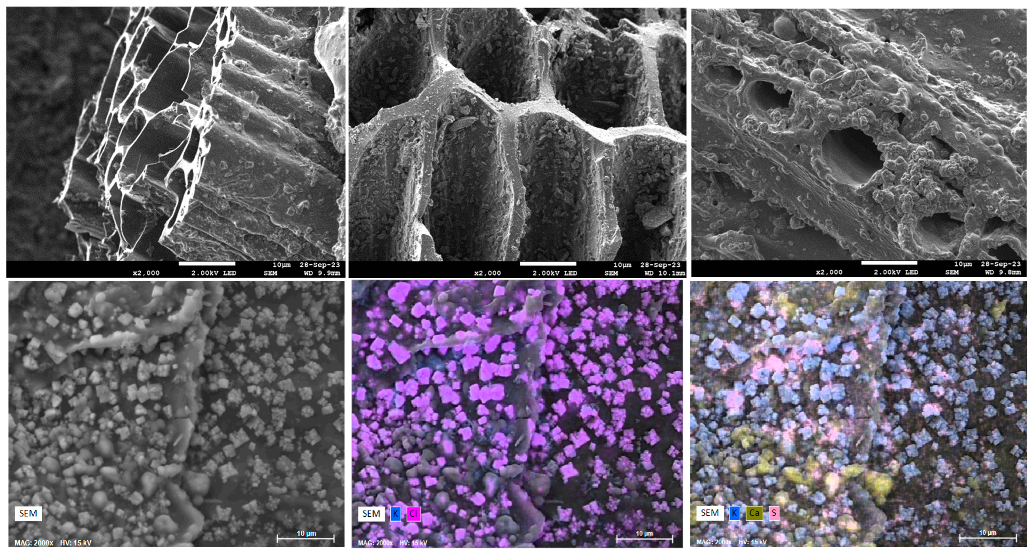 Cleantechnol 06 00049 g004