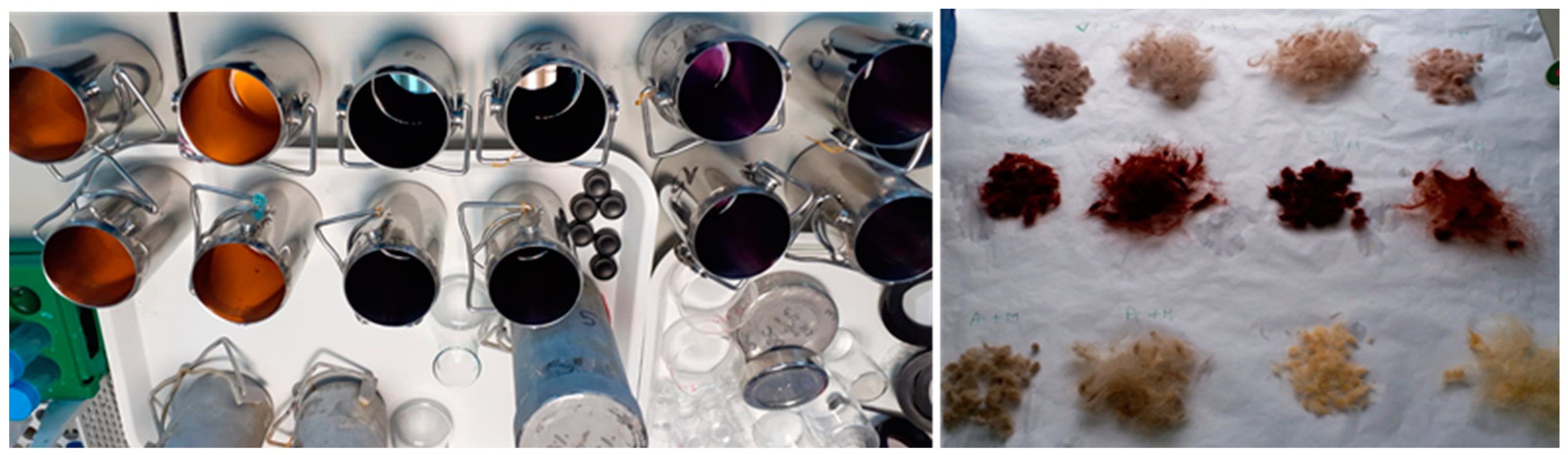 Cleantechnol 06 00063 g001