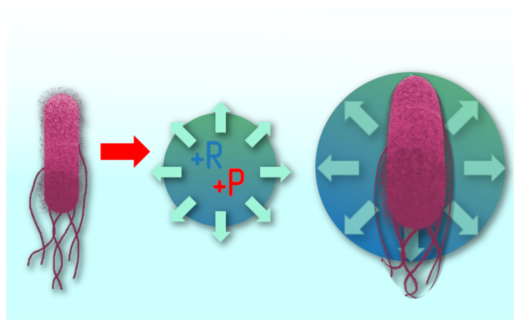 Cleantechnol 06 00064 g015