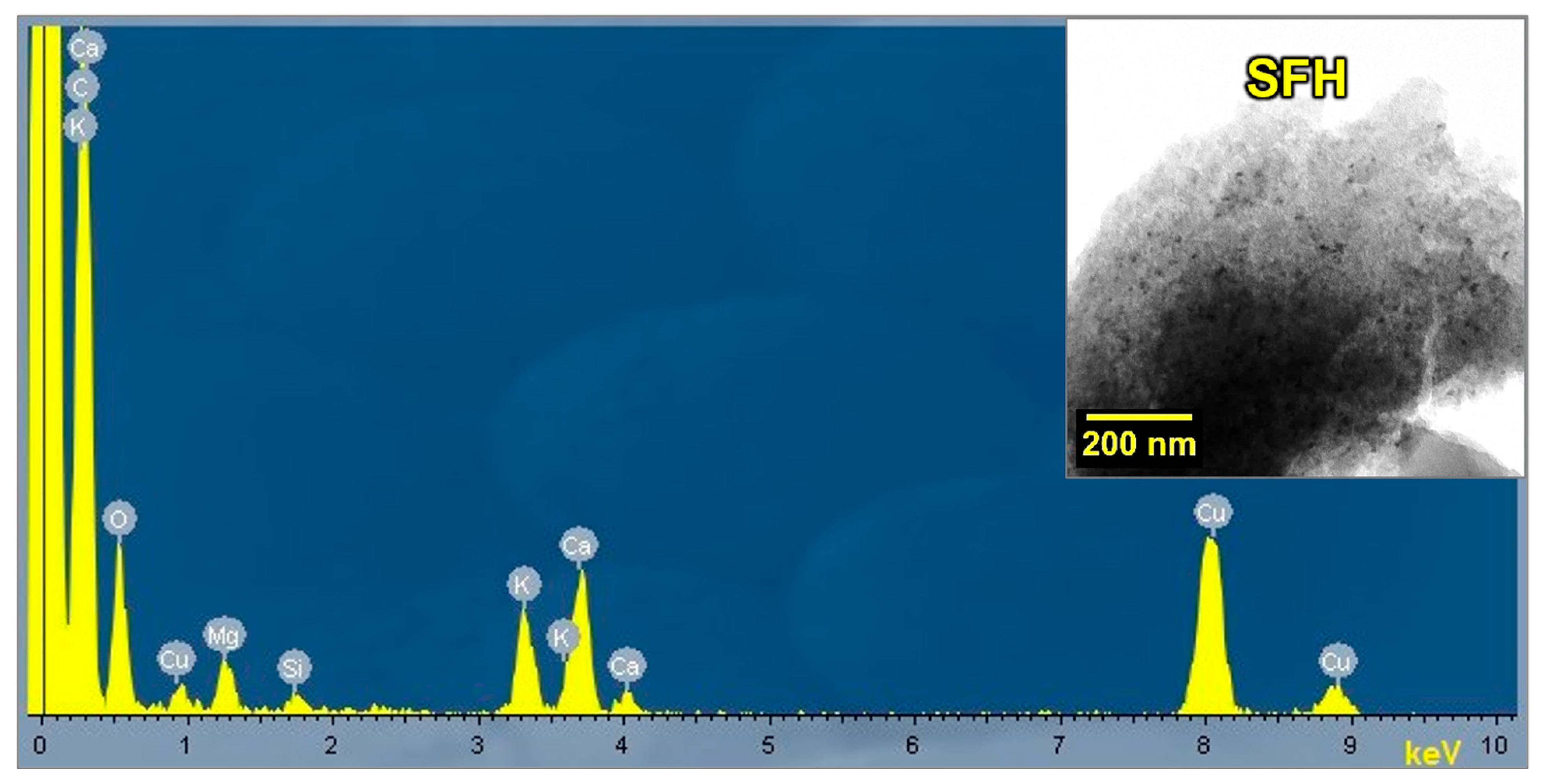 Cleantechnol 06 00076 g003