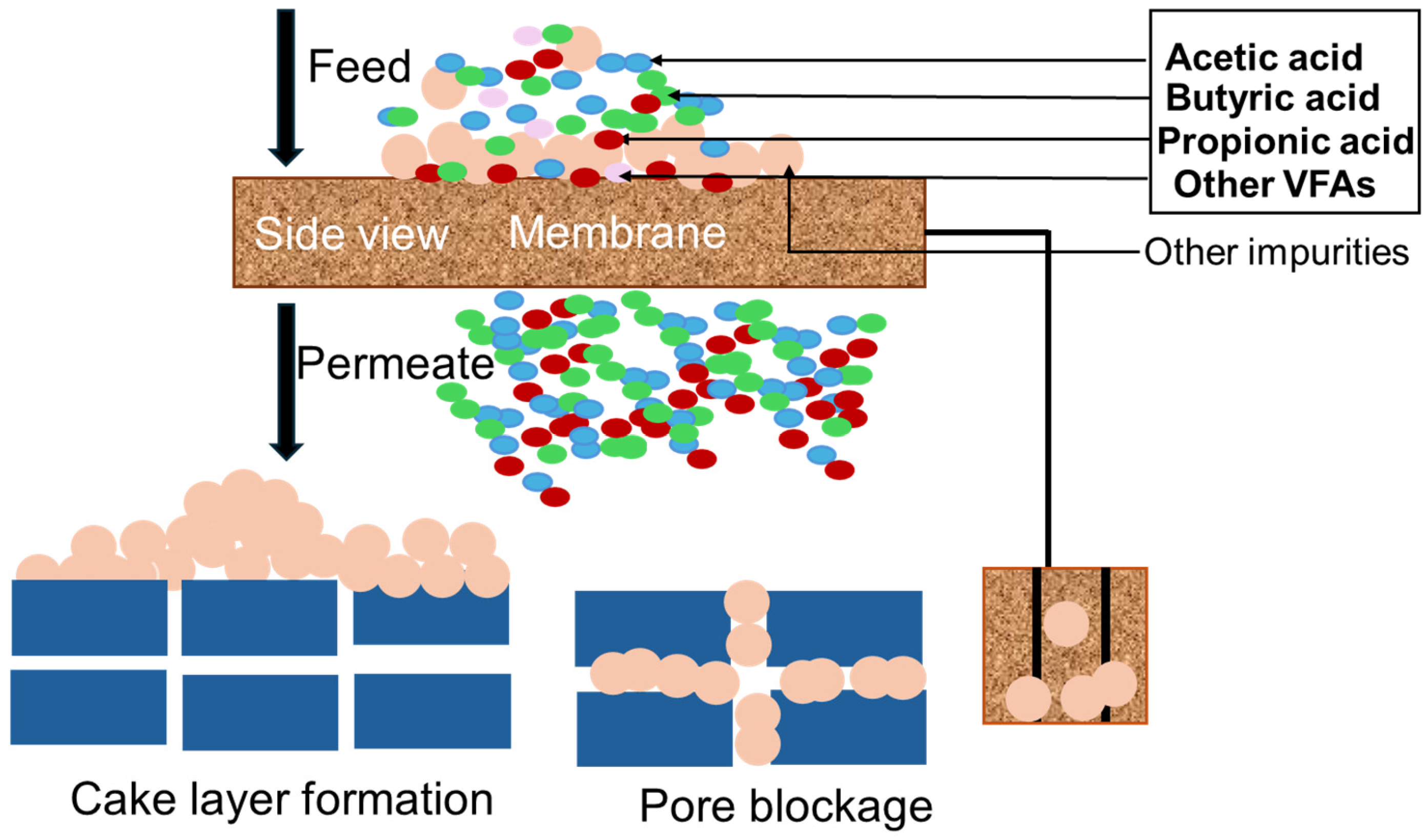 Cleantechnol 07 00048 g006