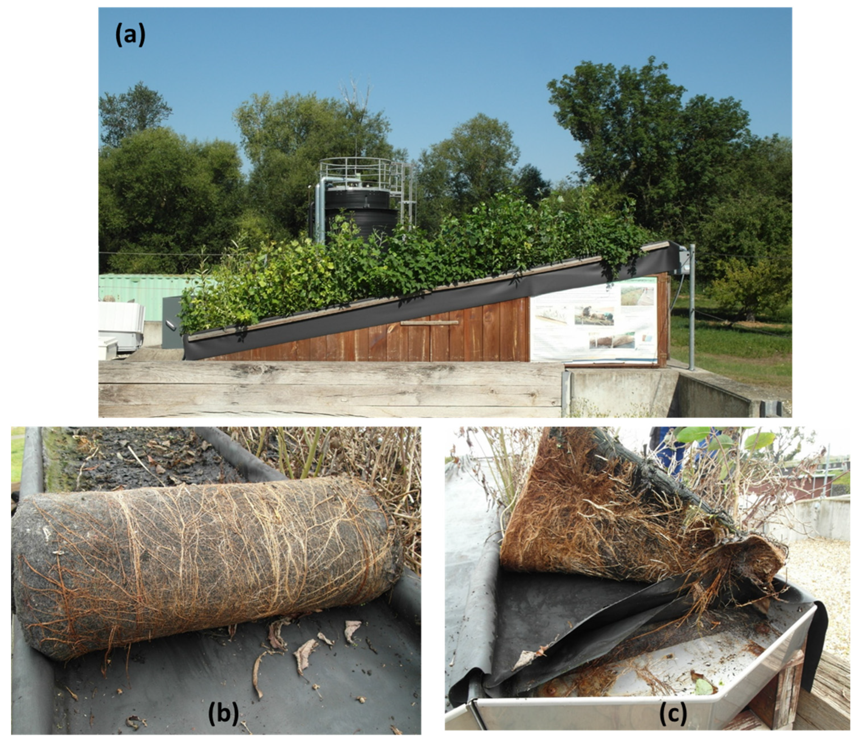 Cleantechnol 07 00075 g008