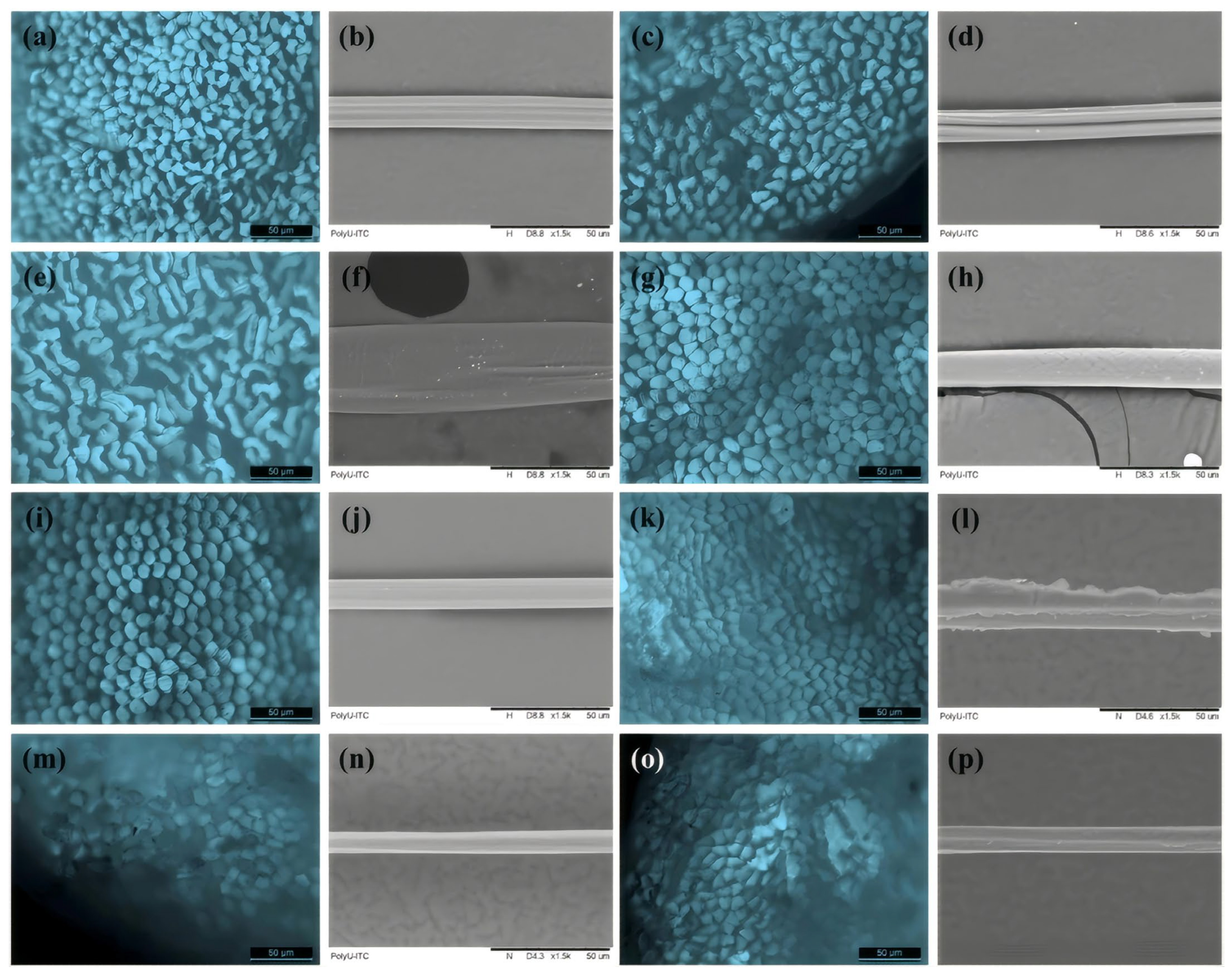 Cleantechnol 07 00095 g002