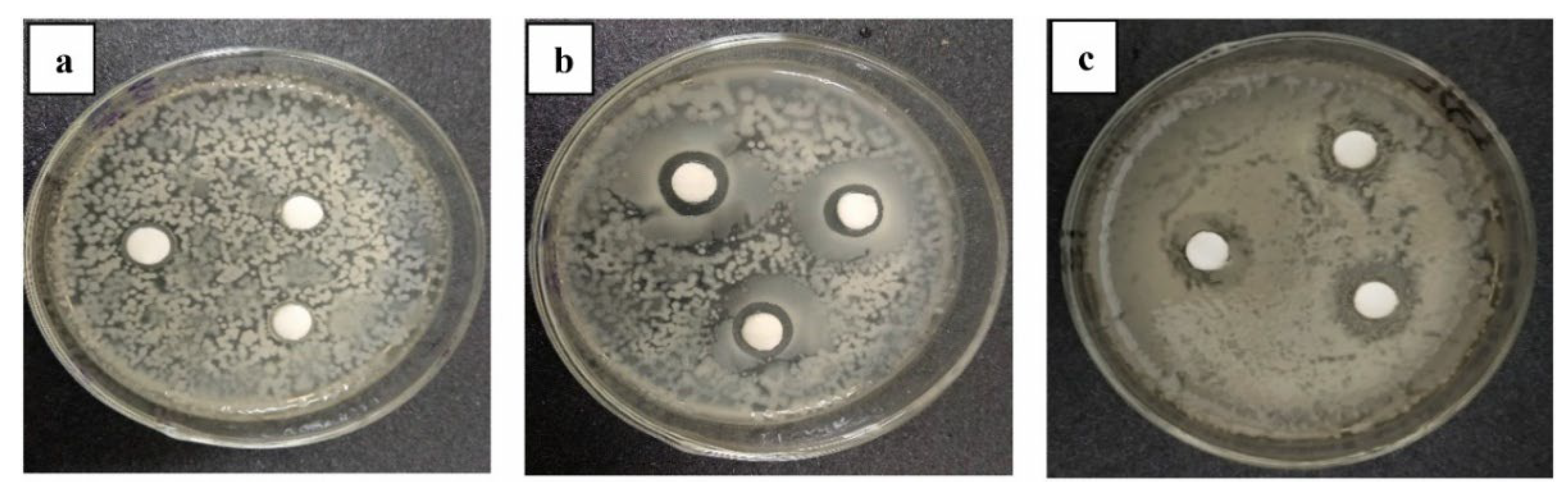 Cleantechnol 07 00095 g006