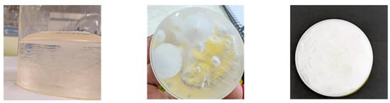 Different stages of eutectic mixture formation in reline as temperature decreases below 35 °C.