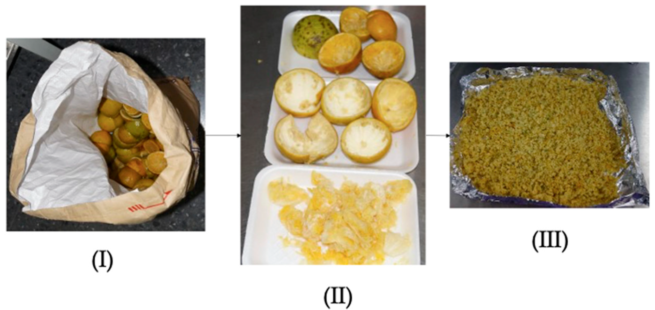 Cleantechnol 07 00112 g001