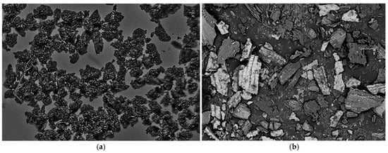 Optical microscopy image of coffee grounds (a) and coffee waste and rice husk mixture (b).