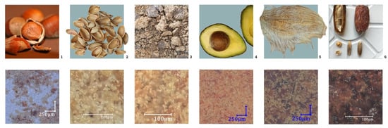 Images of all food-waste resources tested (row above) and enlarged images after milling (row below). Left to right: (1) Hazelnut (250 μm), (2) Pistachio (100 μm), (3) Beer Brewing Waste (100 μm), (4) Avocado (250 μm), (5) Mango (250 μm), and (6) Dates (100 μm).