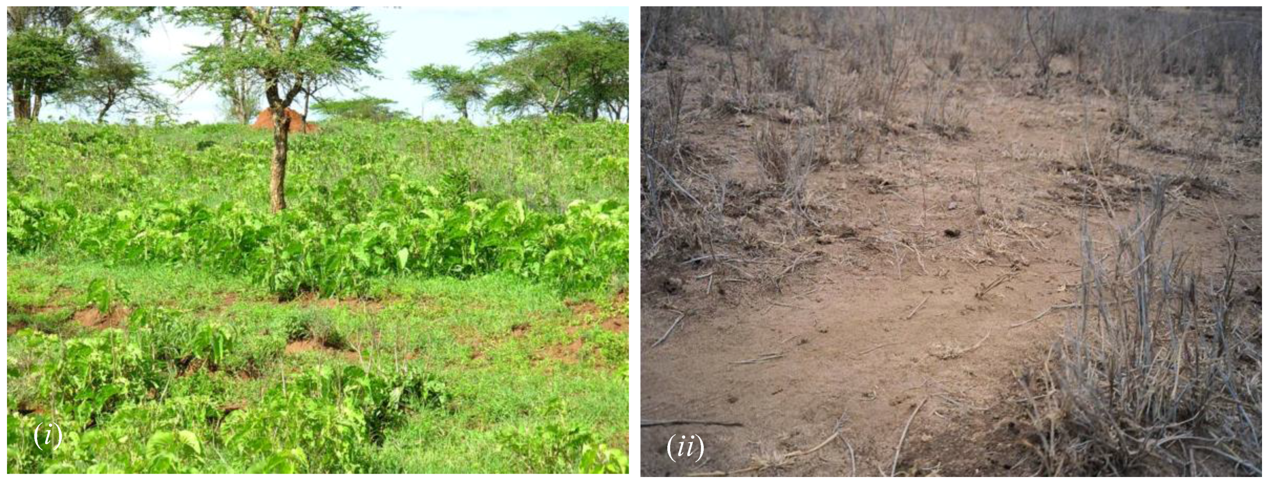 Climate 04 00022 g005