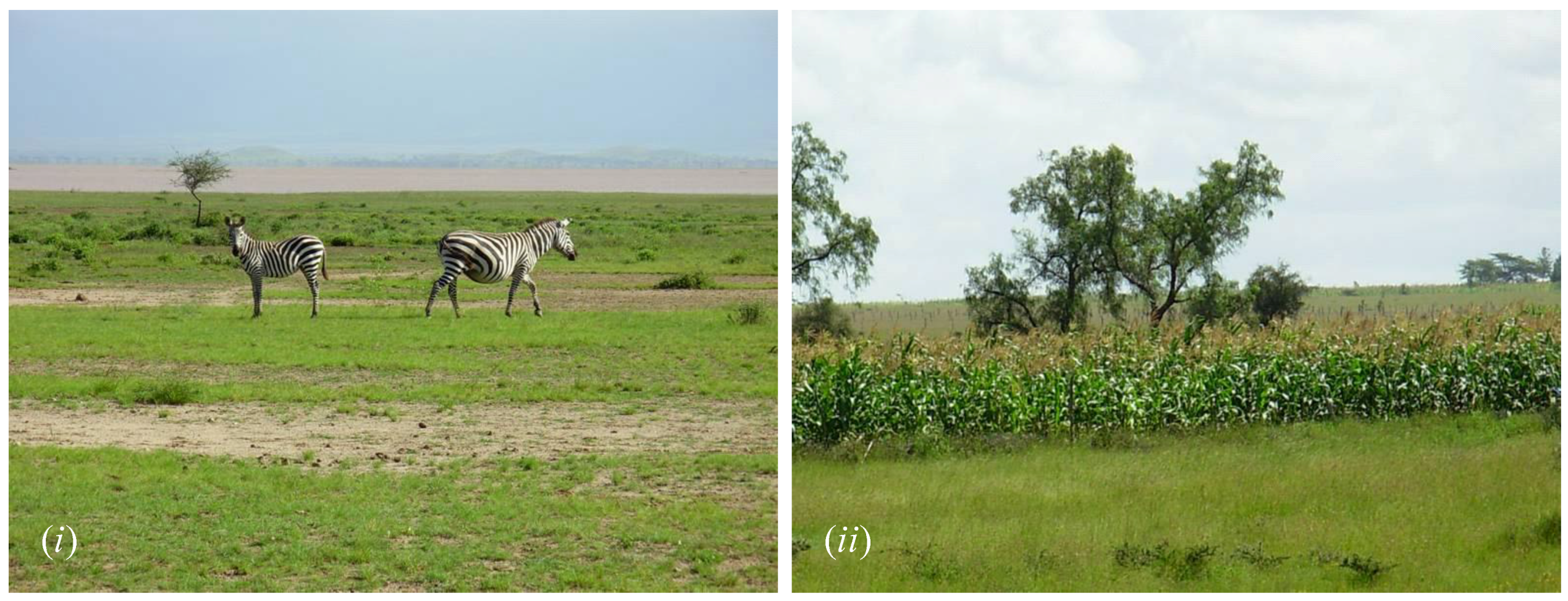 Climate 04 00022 g006