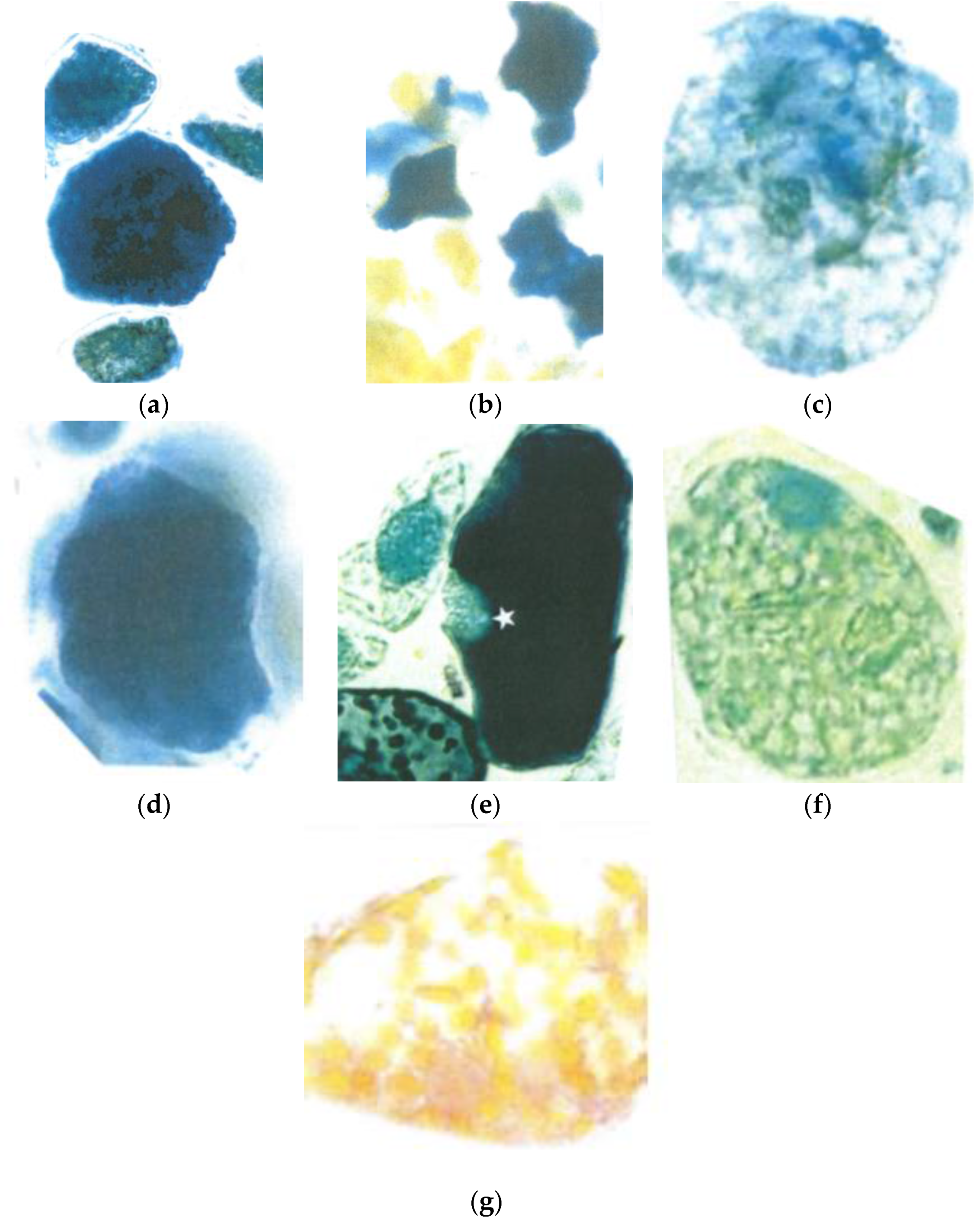 Climate 04 00035 g007