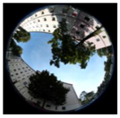 Climate 06 00005 i012