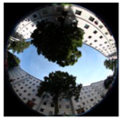 Climate 06 00005 i014