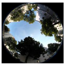 Climate 06 00005 i016