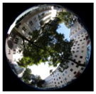 Climate 06 00005 i022