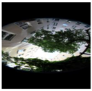 Climate 06 00005 i026