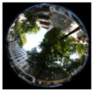 Climate 06 00005 i030