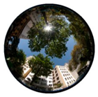 Climate 07 00065 i002