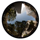 Climate 07 00065 i003