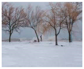 Climate 07 00118 i006