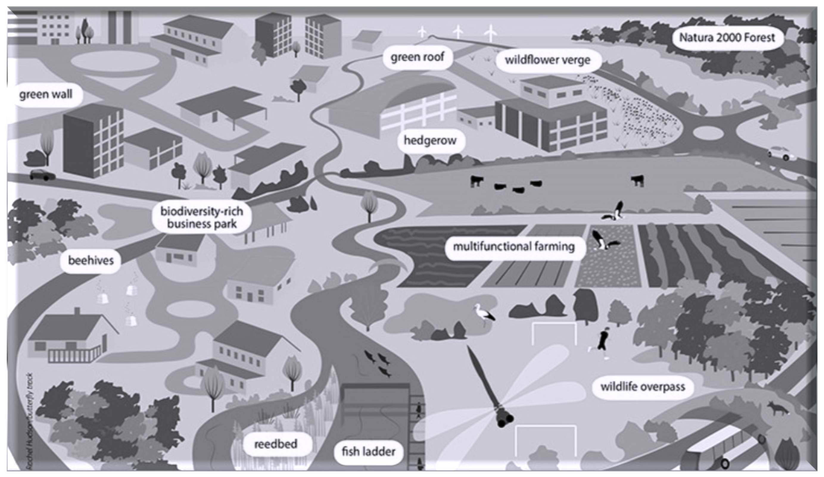 Climate 07 00119 g001