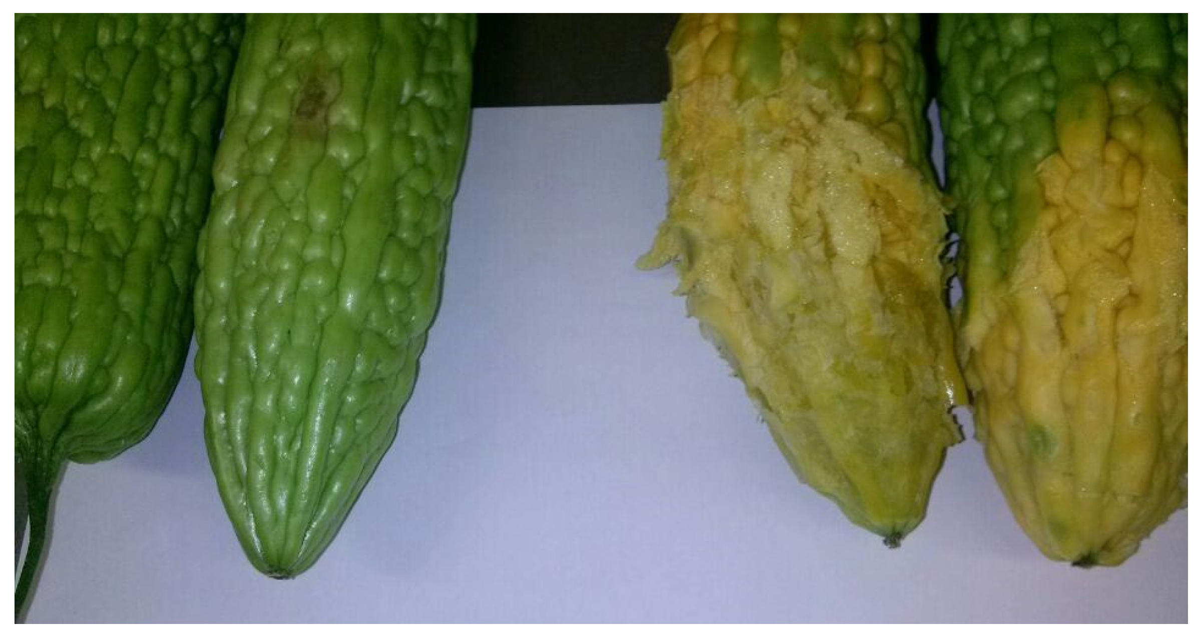 Climate 09 00147 g003