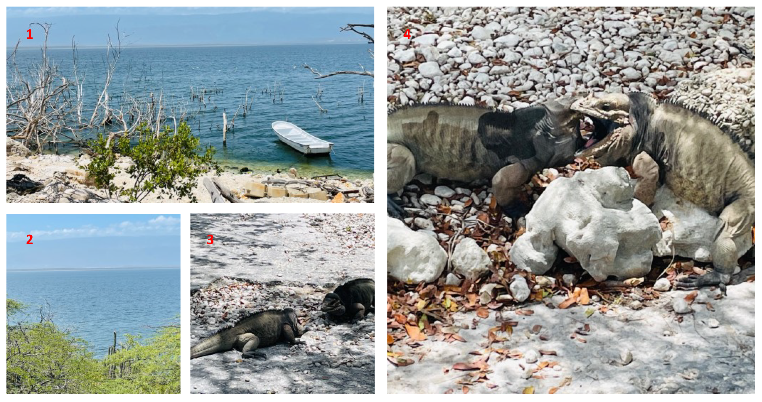 Climate 09 00182 g003