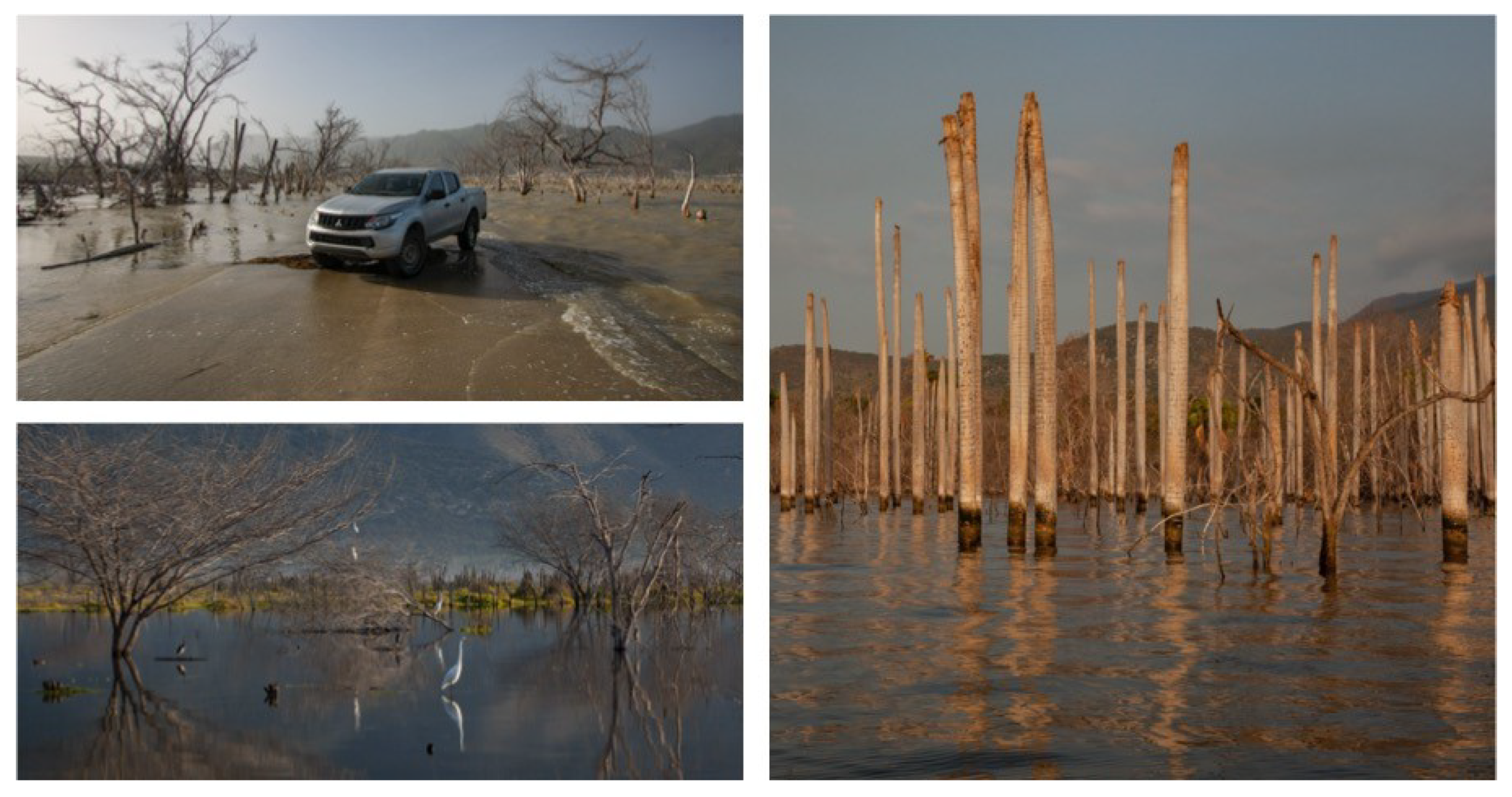 Climate 09 00182 g006