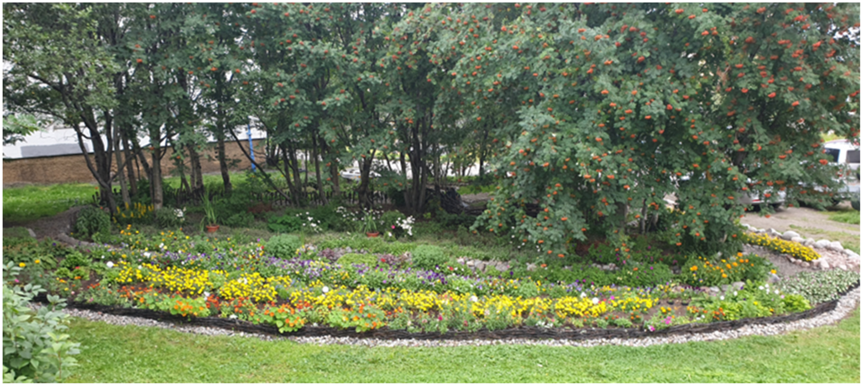 Climate 10 00015 g007