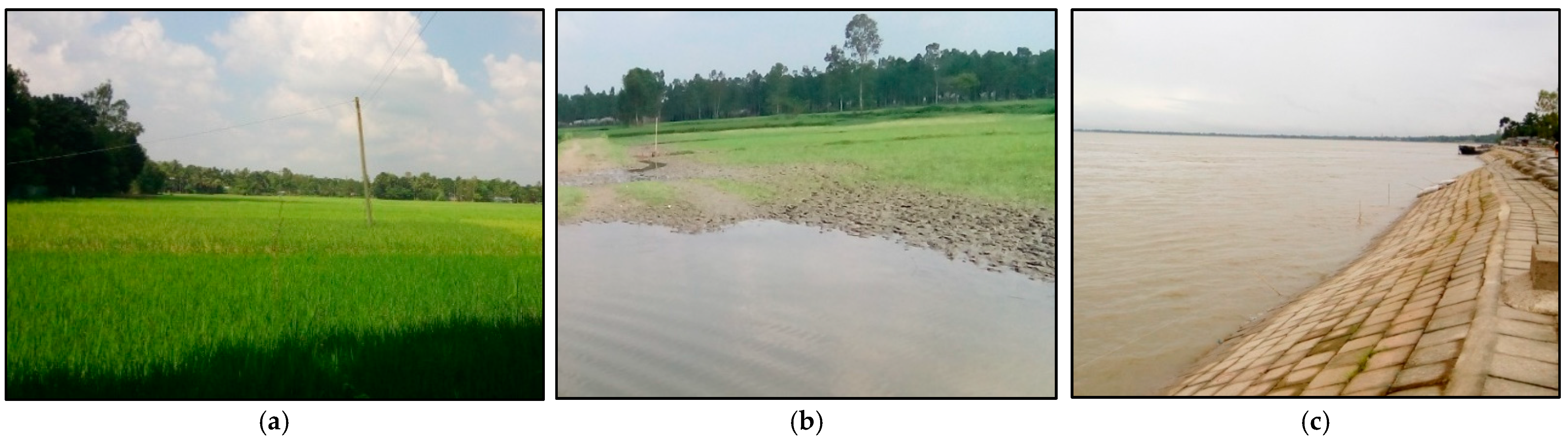 Climate 10 00020 g002