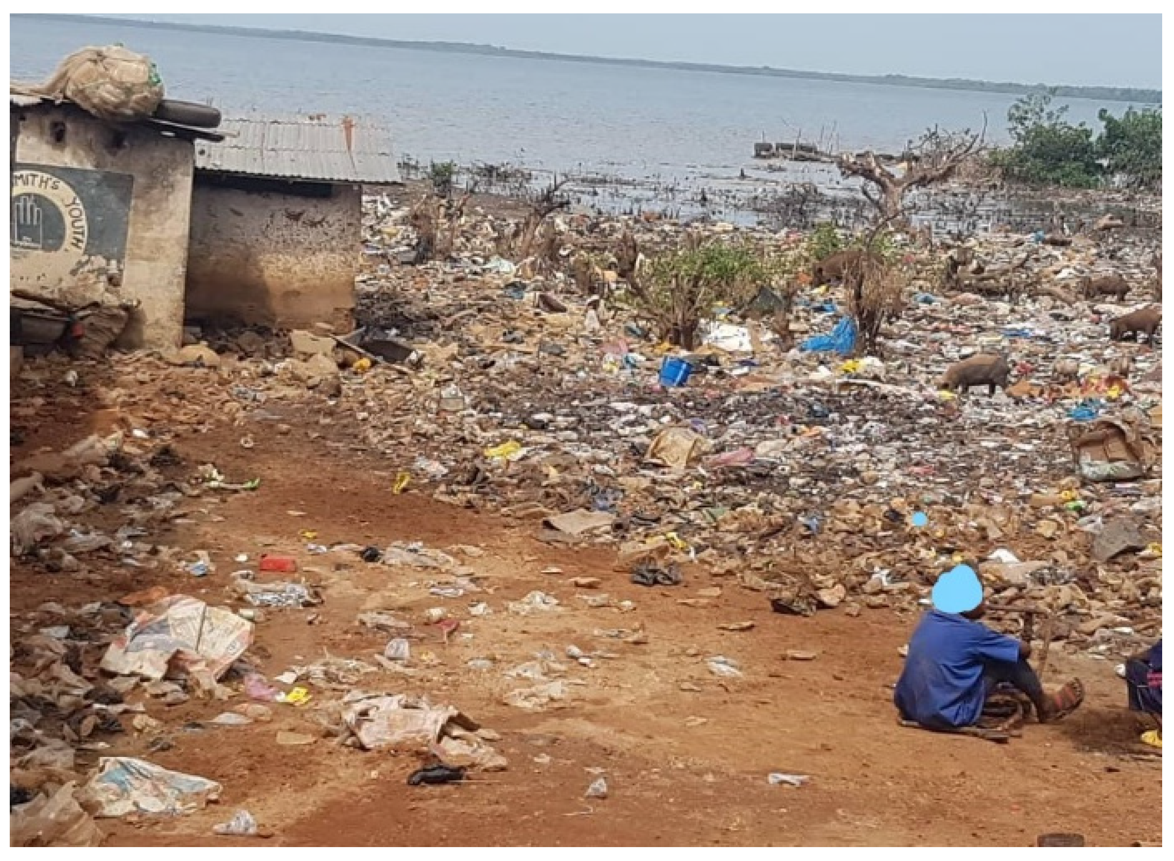 Climate 10 00181 g005