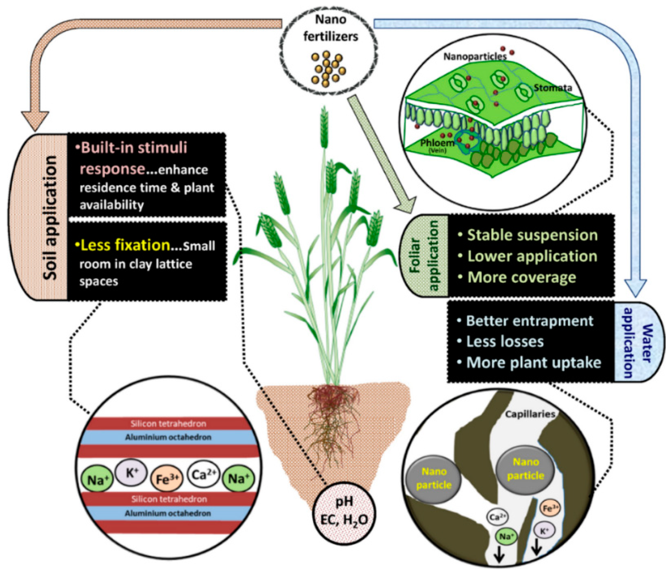 Climate 10 00183 g001