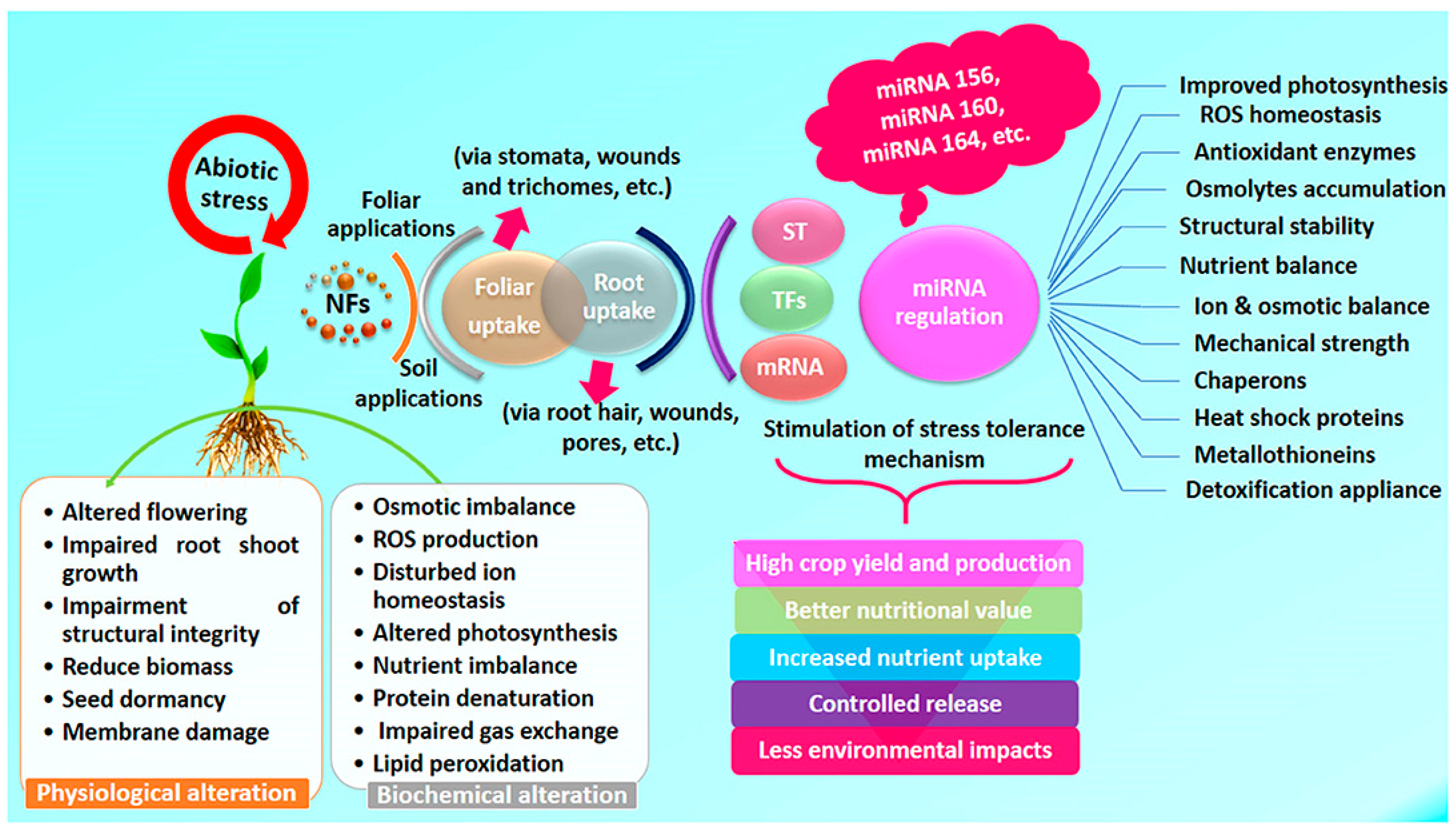 Climate 10 00183 g002